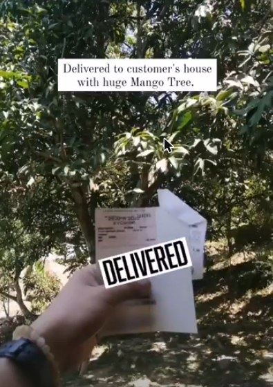 Roadtax delivered to a customer's house with a huge mango tree